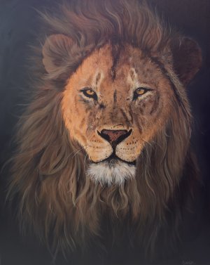King of the Pride Print